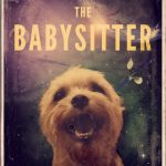 The Babysitter